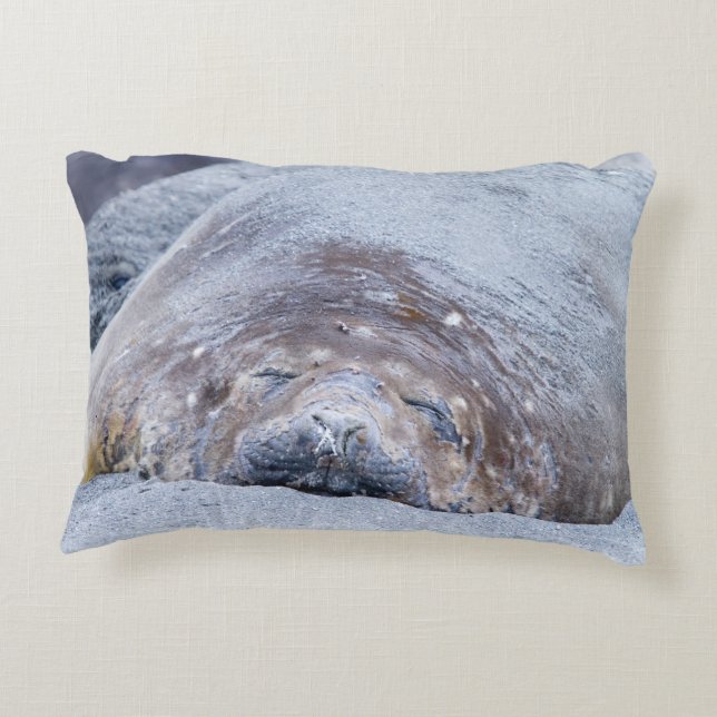 Sleeping elephant seal decorative cushion (Back)