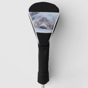 Sleeping elephant seal golf head cover