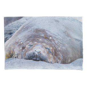Sleeping elephant seal pillowcase