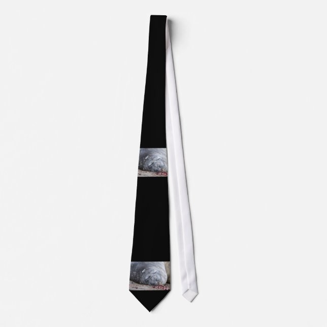 Sleeping elephant seal tie (Front)