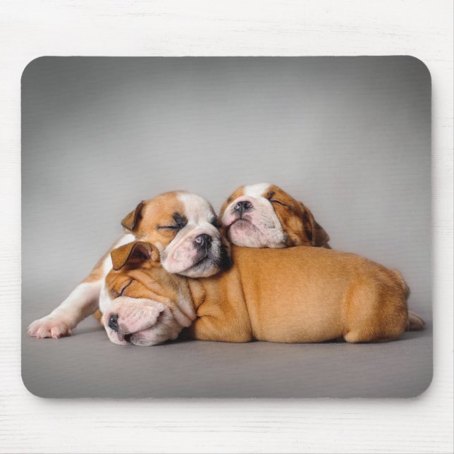 Sleeping English bulldog Mouse Mat (Front)