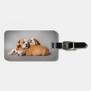 Sleeping English bulldog puppies Luggage Tag