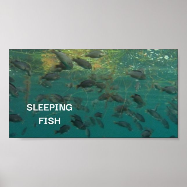 Sleeping fish poster (Front)