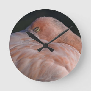 Sleeping Flamingo Clock