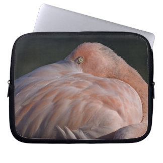 Sleeping Flamingo Laptop Sleeve