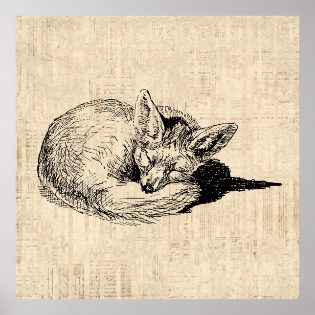 Sleeping Fox Illustrated Art Cute Vintage Animal Poster (Front)