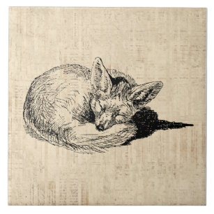 Sleeping Fox Illustrated Art Cute Vintage Animal Tile
