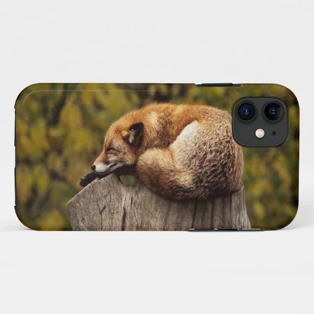 Sleeping fox photo Case-Mate iPhone case (Back (Horizontal))