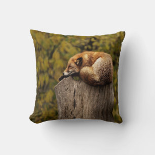 Sleeping fox photo cushion