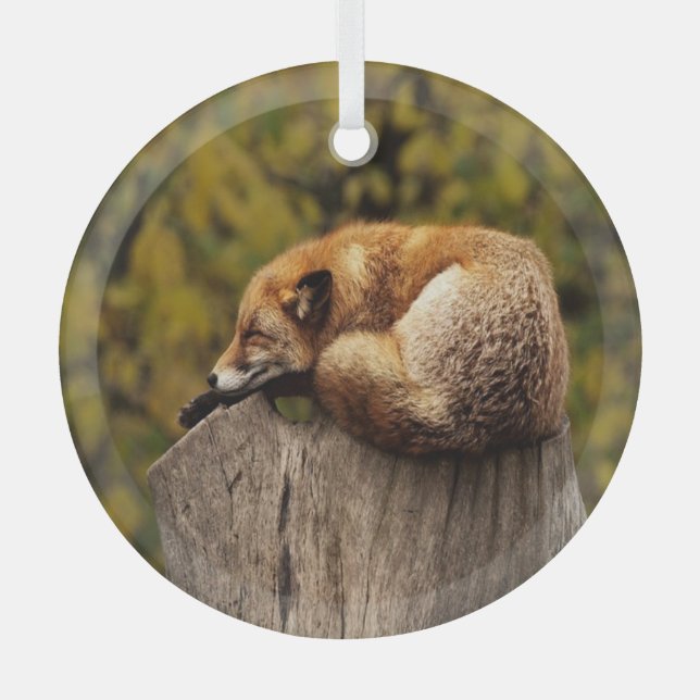 Sleeping fox photo glass tree decoration (Front)