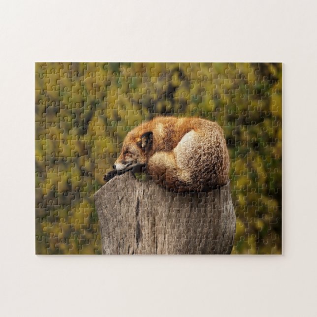 Sleeping fox photo jigsaw puzzle (Horizontal)