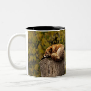 sleeping fox photo Two-Tone coffee mug