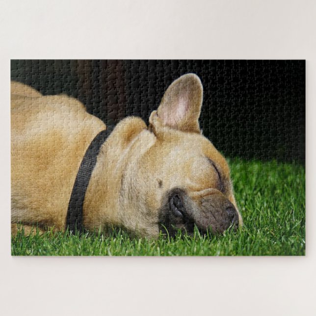 Sleeping French bull dog Jigsaw Puzzle (Horizontal)