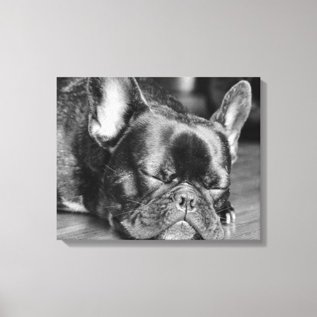 Sleeping French Bulldog Canvas Print (Front)