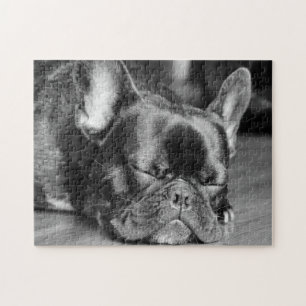 Sleeping French Bulldog Jigsaw Puzzle