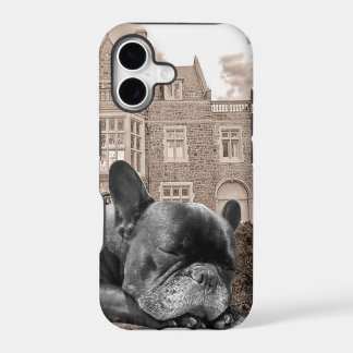 Sleeping French Bulldogs