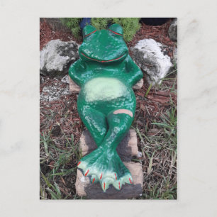 Sleeping Frog Just Chilling How about You Postcard