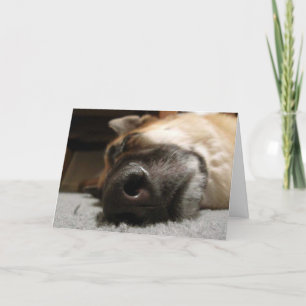Sleeping German Shepherd Thank You Card