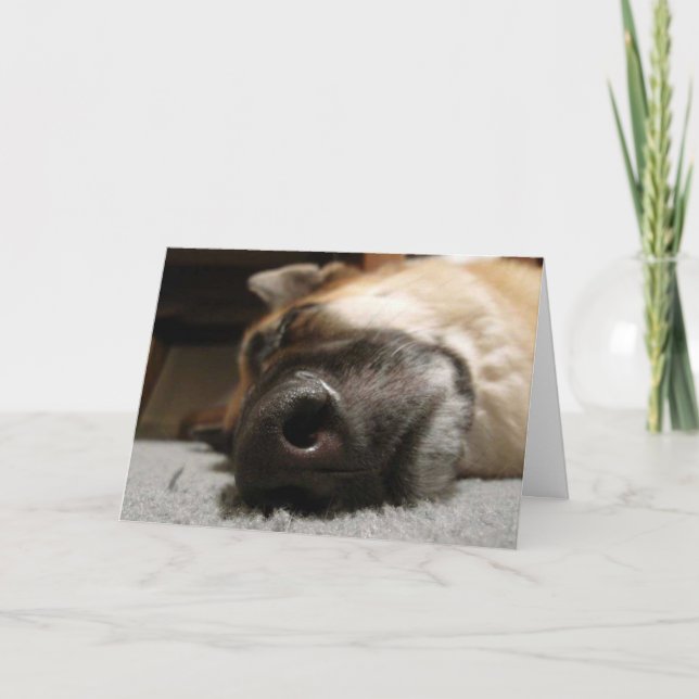 Sleeping German Shepherd Thank You Card (Front)