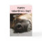 Sleeping German Shepherd Valentine's Day Card