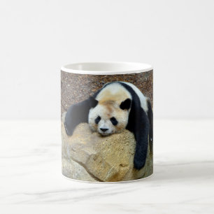 Sleeping giant panda slumped on a rock coffee mug