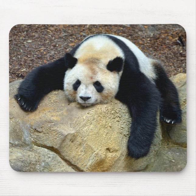 Sleeping giant panda slumped on a rock mouse mat (Front)