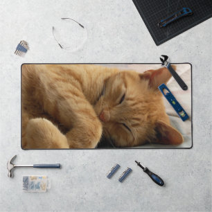 Sleeping Ginger Cat Desk Mat