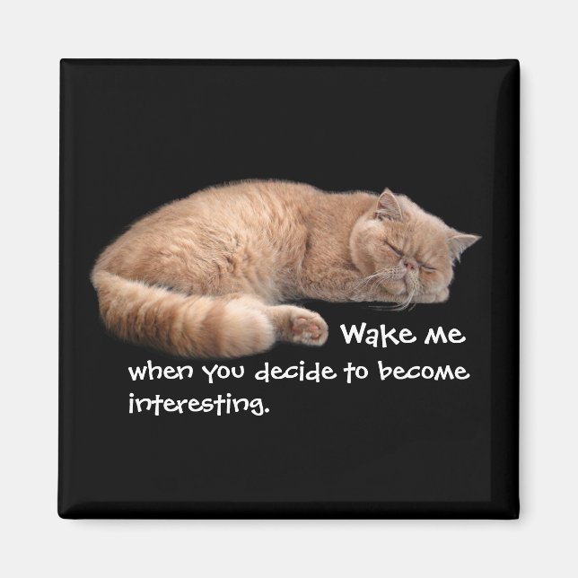 Sleeping Ginger Cat Funny Wake Me Quote Magnet (Front)