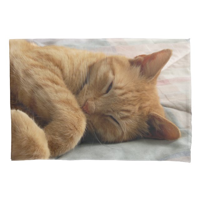 Sleeping Ginger cat Pillowcase (Front)