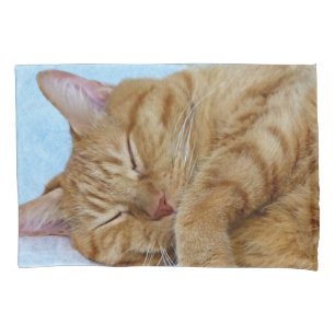 Sleeping Ginger Cat Pillowcase