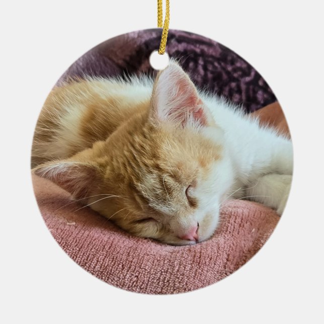 Sleeping ginger kitten ceramic tree decoration (Front)