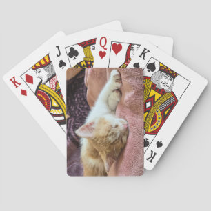 Sleeping ginger kitten playing cards