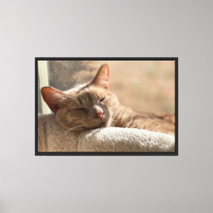 Sleeping Ginger Tabby Cat Peaceful Cat Art Canvas Print