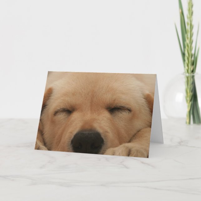 Sleeping Golden Retriever Greeting Card (Front)
