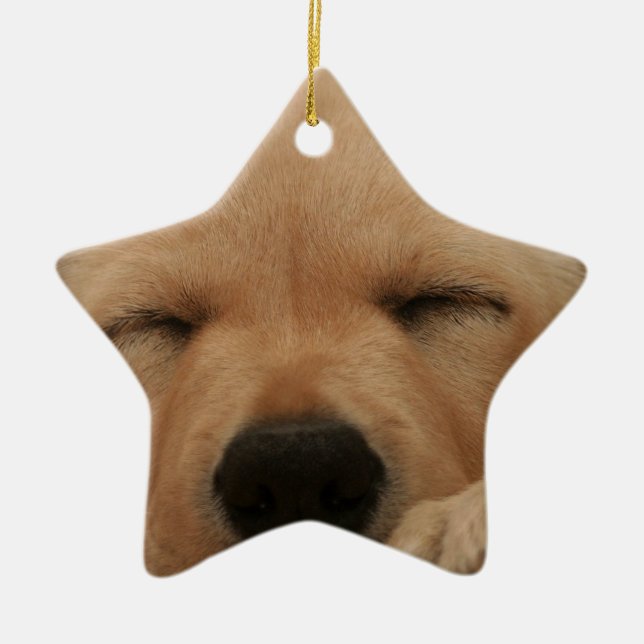 Sleeping Golden Retriever Ornament (Front)