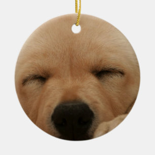 Sleeping Golden Retriever Ornament