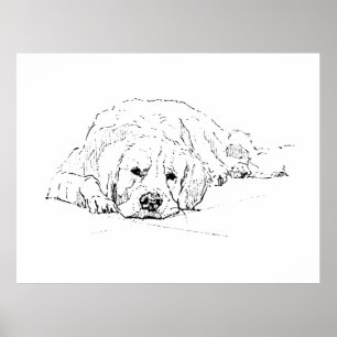 Sleeping Golden Retriever, Wall Art Print