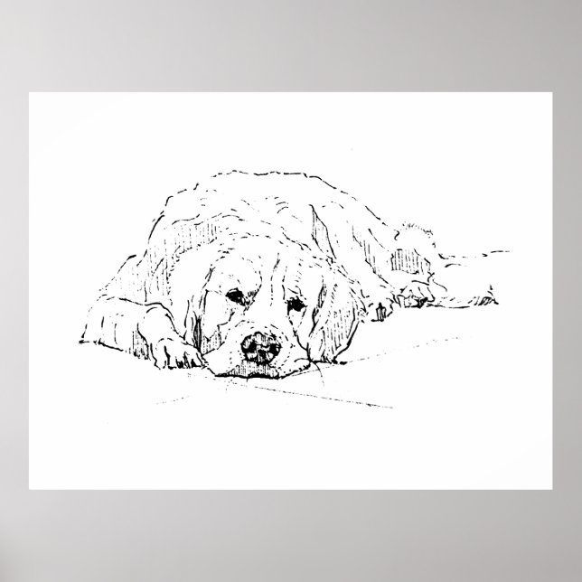 Sleeping Golden Retriever, Wall Art Print (Front)