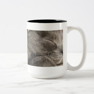 Sleeping grey cat mug