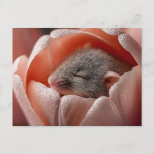 Sleeping Harvest Mouse Inside a Dew-Covered Tulip Postcard