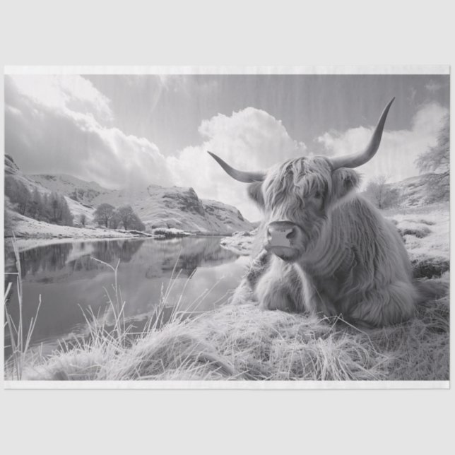 Sleeping Highland Cow Black and White Decoupage Tissue Paper (Front)