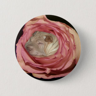 Sleeping in a Pale Pink Rose, Chinese Shar Pei Dog 6 Cm Round Badge