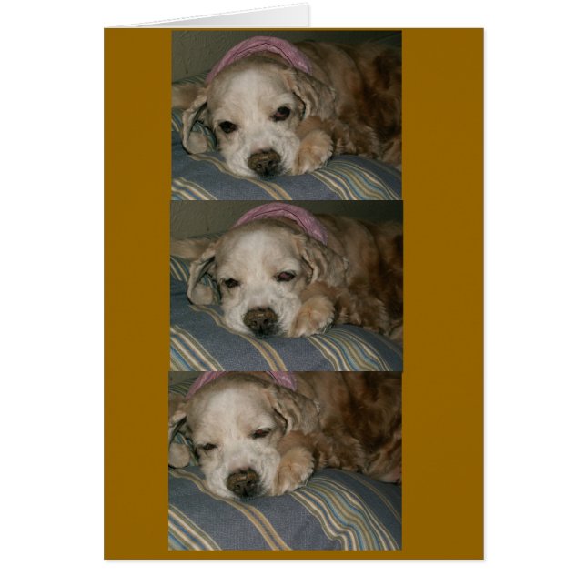 sleeping in seattle (Front)