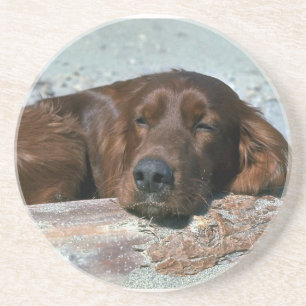Sleeping Irish Setter Coaster