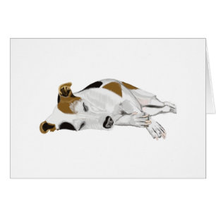 Sleeping Jack Russell