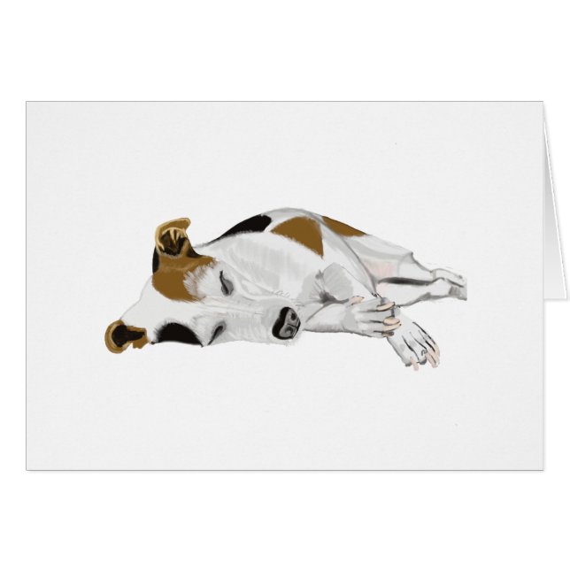 Sleeping Jack Russell (Front Horizontal)