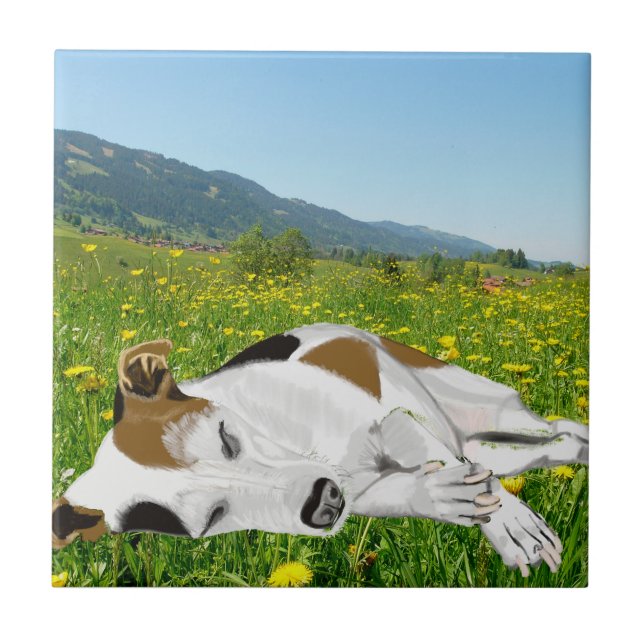 Sleeping Jack Russell in a colourful flower Meadow Tile (Front)