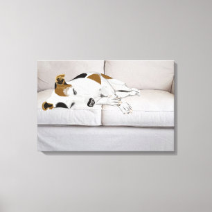 Sleeping Jack Russell Terrier Canvas Print