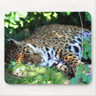 Sleeping Jaguar Mouse Mat