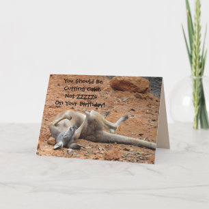 Sleeping Kangaroo Birthday Card